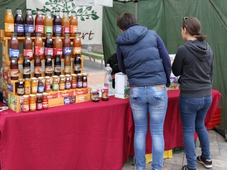 Élet-Stílus - egy nap a sportról és egészségről a Városháza téren - fotó: Sándor Judit