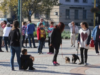 Tízezer lépés érted és értük - fotó: Ónodi Zoltán