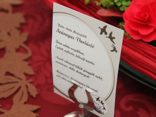 Mesterszakács vizsga a Fészekben - fotó: Ónodi Zoltán