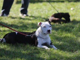 Szöllősi Zsolt emlékverseny - fotó: Ónodi Zoltán