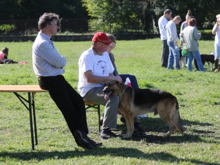 Szöllősi Zsolt emlékverseny - fotó: Ónodi Zoltán