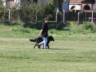 Szöllősi Zsolt emlékverseny - fotó: Ónodi Zoltán