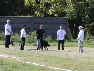 Szöllősi Zsolt emlékverseny - fotó: Ónodi Zoltán
