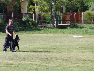 Szöllősi Zsolt emlékverseny - fotó: Ónodi Zoltán