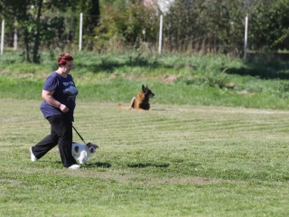 Szöllősi Zsolt emlékverseny - fotó: Ónodi Zoltán