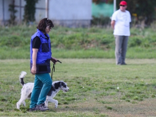 Szöllősi Zsolt emlékverseny - fotó: Ónodi Zoltán