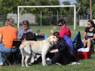 Szöllősi Zsolt emlékverseny - fotó: Ónodi Zoltán