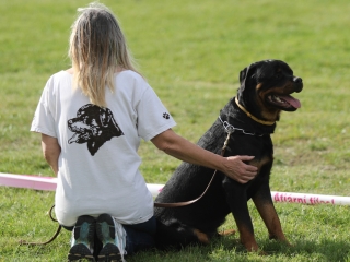 Szöllősi Zsolt emlékverseny - fotó: Ónodi Zoltán