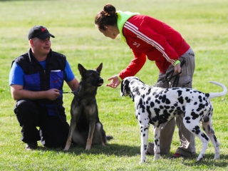 Szöllősi Zsolt emlékverseny - fotó: Ónodi Zoltán