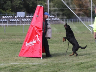 Szöllősi Zsolt emlékverseny - fotó: Ónodi Zoltán
