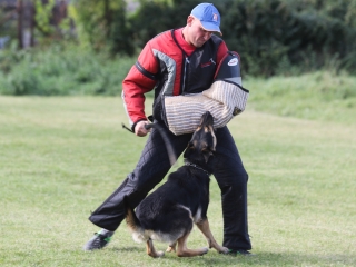Szöllősi Zsolt emlékverseny - fotó: Ónodi Zoltán