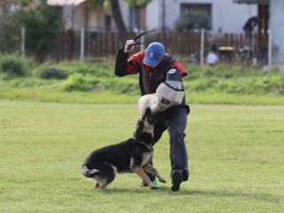 Szöllősi Zsolt emlékverseny - fotó: Ónodi Zoltán