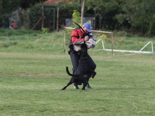 Szöllősi Zsolt emlékverseny - fotó: Ónodi Zoltán