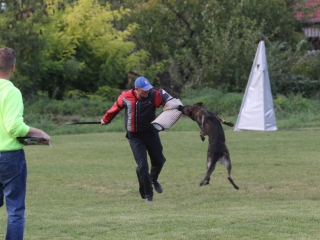 Szöllősi Zsolt emlékverseny - fotó: Ónodi Zoltán