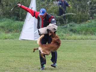 Szöllősi Zsolt emlékverseny - fotó: Ónodi Zoltán