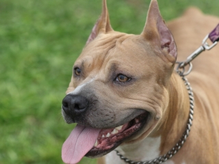 Szöllősi Zsolt emlékverseny - fotó: Ónodi Zoltán