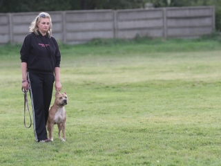 Szöllősi Zsolt emlékverseny - fotó: Ónodi Zoltán