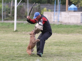 Szöllősi Zsolt emlékverseny - fotó: Ónodi Zoltán