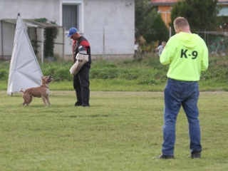 Szöllősi Zsolt emlékverseny - fotó: Ónodi Zoltán