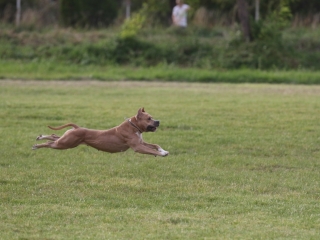 Szöllősi Zsolt emlékverseny - fotó: Ónodi Zoltán