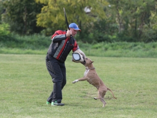 Szöllősi Zsolt emlékverseny - fotó: Ónodi Zoltán
