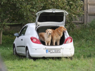 Szöllősi Zsolt emlékverseny - fotó: Ónodi Zoltán
