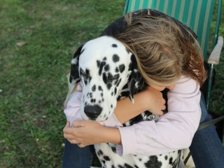 Szöllősi Zsolt emlékverseny - fotó: Ónodi Zoltán