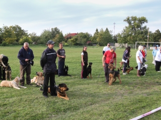 Szöllősi Zsolt emlékverseny - fotó: Ónodi Zoltán