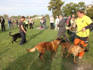 Szöllősi Zsolt emlékverseny - fotó: Ónodi Zoltán