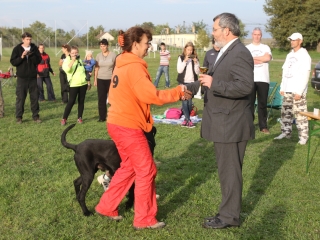 Szöllősi Zsolt emlékverseny - fotó: Ónodi Zoltán