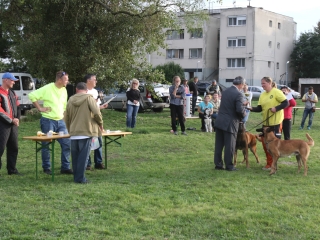Szöllősi Zsolt emlékverseny - fotó: Ónodi Zoltán
