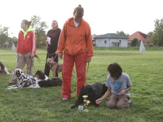 Szöllősi Zsolt emlékverseny - fotó: Ónodi Zoltán