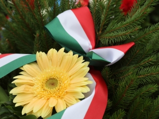 Aradi vértanukra emlékeztünk - fotó: Ónodi Zoltán