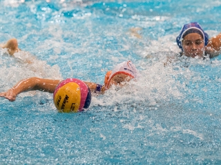 DFVE-Maarsk Graphics - Hungerit Szentes - fotó: Ónodi Zoltán