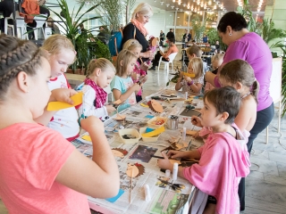 DFVE-Maarsk Graphics - Hungerit Szentes - fotó: Ónodi Zoltán