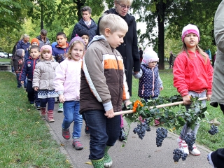 A Napsugár ovisok szüreti felvonulása - fotó: Sándor Judit