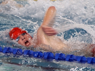 Úszógála 2015 - fotó: 