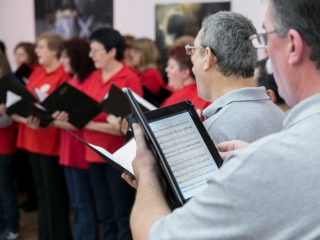 Szlalom - fotó: Ónodi Zoltán