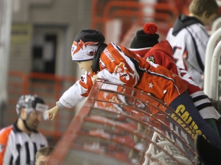 DAB - UTE - fotó: Sándor Judit