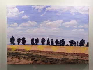 Füves képek a Bartók aulájában - fotó: Ónodi Zoltán