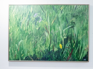 Füves képek a Bartók aulájában - fotó: Ónodi Zoltán