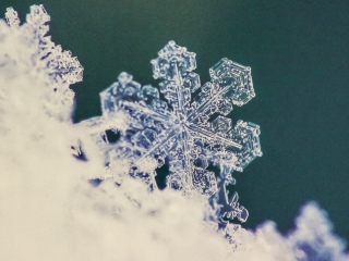 Bemutatkozott a Panoráma Fotó Egyesület - fotó: Ónodi Zoltán