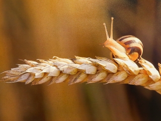 Bemutatkozott a Panoráma Fotó Egyesület - fotó: Ónodi Zoltán