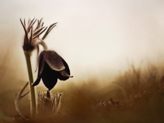 Bemutatkozott a Panoráma Fotó Egyesület - fotó: Ónodi Zoltán