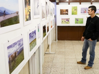 Bemutatkozott a Panoráma Fotó Egyesület - fotó: Ónodi Zoltán