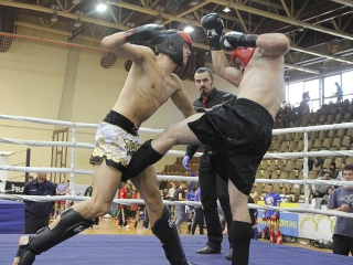 WKF amatőr Európa-bajnokság 2. nap - fotó: Sándor Judit