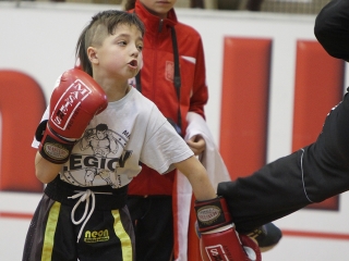 WKF amatőr Európa-bajnokság 2. nap - fotó: Sándor Judit