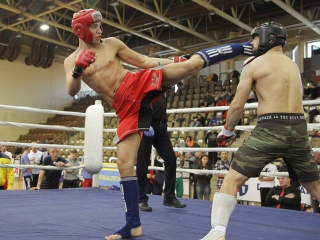 WKF amatőr Európa-bajnokság 2. nap - fotó: Sándor Judit