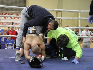 WKF amatőr Európa-bajnokság 2. nap - fotó: Sándor Judit