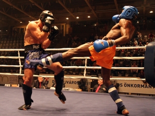 WKF amatőr Európa-bajnokság 3. nap - fotó: Sándor Judit